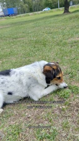 Я не трус, но я боюсь