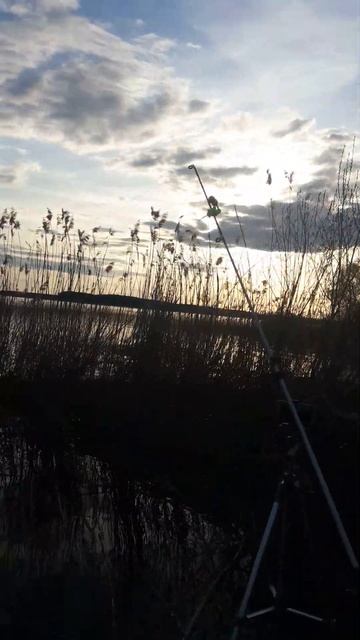 Селигер в мае - я обрыбился смотреть онлайн