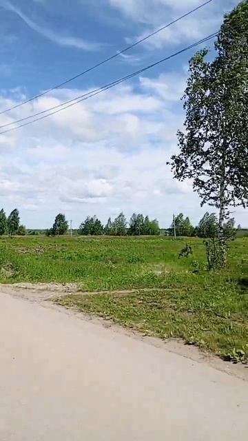 #матушказемля #берёза #деревня смотреть онлайн