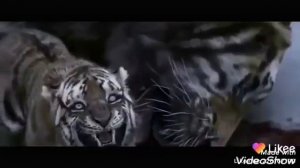 Великий Тигр