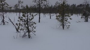ОХОТА НА ТЕТЕРЕВА С МЕЛКАШКОЙ В МЕТЕЛЬ / ДВЕ ПТИЦЫ С ОД?