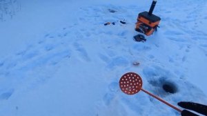 Зимняя ❄️ Рыбалка 🎣 на реке Тобол ! На разных местах,