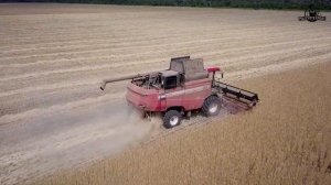 Комбайн Гомсельмаш 3219. Работа в поле. #Гомсельмаш #уборочная #гибридныйкомбайн #Беларусскаятехника