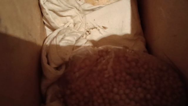 Расхламление летних комнат