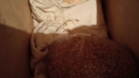 Расхламление летних комнат