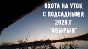 Охота на уток с подсадными 2025.г А5ЫРЫН