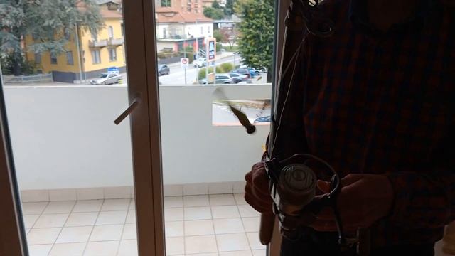 Пенсионер из Украины в Швейцарии.Рыбалка в Европе смотреть онлайн