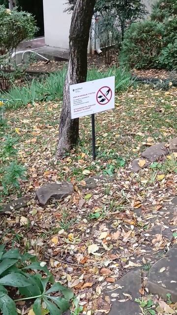 Платная рыбалка в Сочи😂😂😂 смотреть онлайн