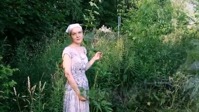 волшебные свойства волшебного корня смотреть онлайн