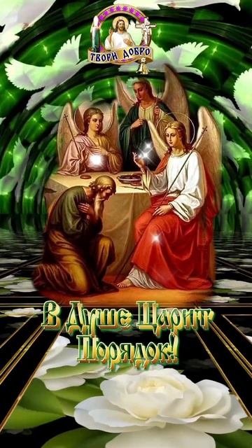 23 июня С Праздником Святой Троицы🌿
