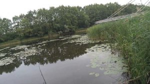 Спиннинг KDF Team Having 2,58 м тест 2-16 гр. Вот и лето прошло. Мо?