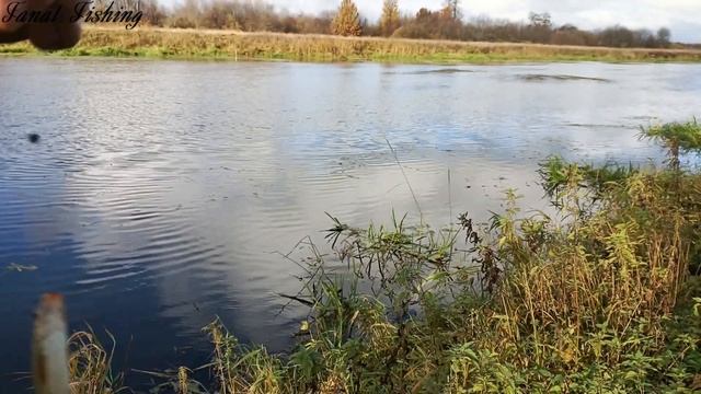 Ловля белорыбицы на кивок и поплавок. смотреть онлайн