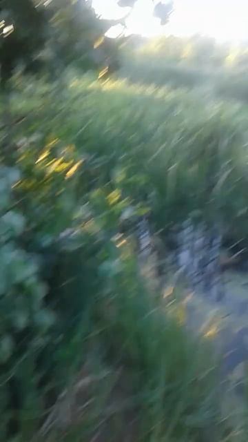 отдых с удочкой. смотреть онлайн