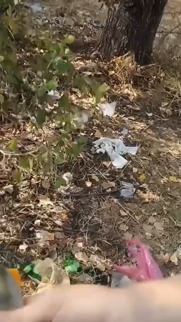 #улов #донка #рыбалканадонки #окуньзимой #горбач #хищни смотреть онлайн