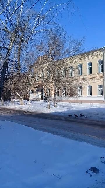 Белые берёзы и дореволюционные дома на старинной ули? смотреть онлайн