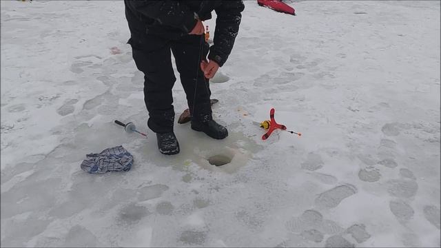 Блёсны хорошо работают на запуске. Клёвое место, Лосин смотреть онлайн