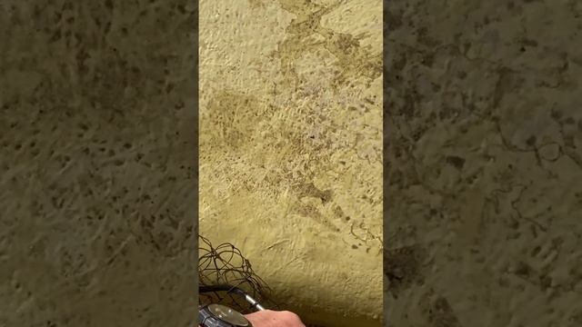 Рыбалка в Астраханской области! Рыбалка на сазана! #вр? смотреть онлайн