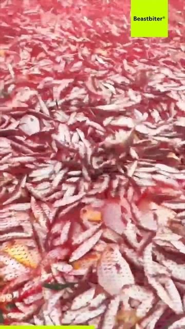 Морская рыбалка на Пхукете (ТАИЛАНД)