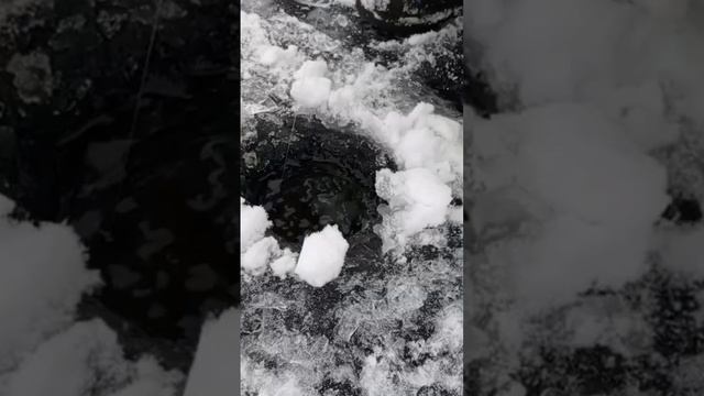 Трофейная щука на жерлицу#щука #fishing #рыбалканащуку #ры смотреть онлайн