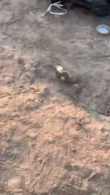 Рыбалка на реке!Улов хороший #fishing #рекомендации #лето # смотреть онлайн