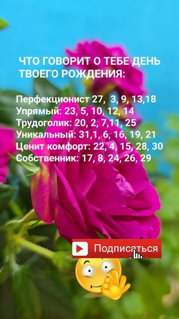 День твоего рождения  что говорит о тебе  / Знаки Зодиа?