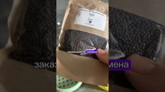 Ростки брокколи за 4 дня ! Пошаговая инструкция!