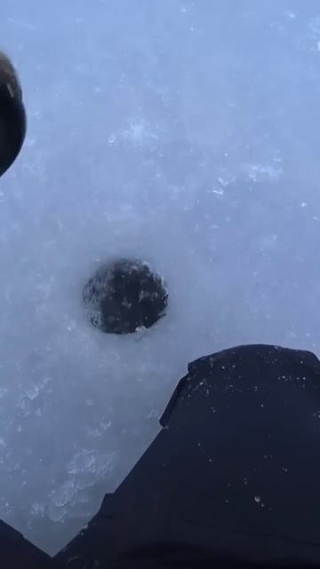 А на балансиры не активна🤨 #жерлицы #щука #спиннинг смотреть онлайн