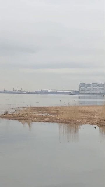 Первый раз здеся и тута))) смотреть онлайн