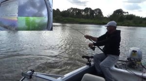 поклeвка сома на квок. Вот так это выглядит на эхолоте L