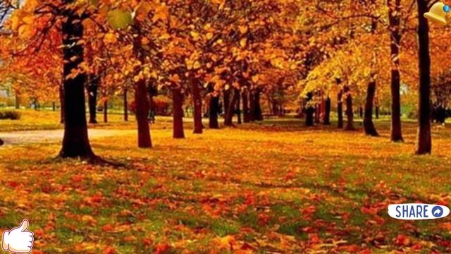 У отца кто-то есть, - сын выглядел так, как будто съел смотреть онлайн