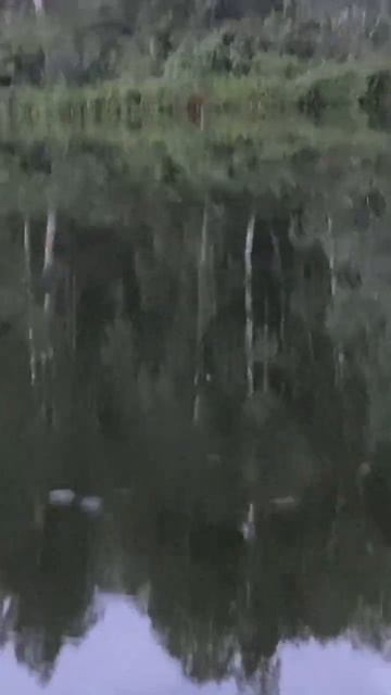 Рыбалочка в Тюмени 🎣 смотреть онлайн