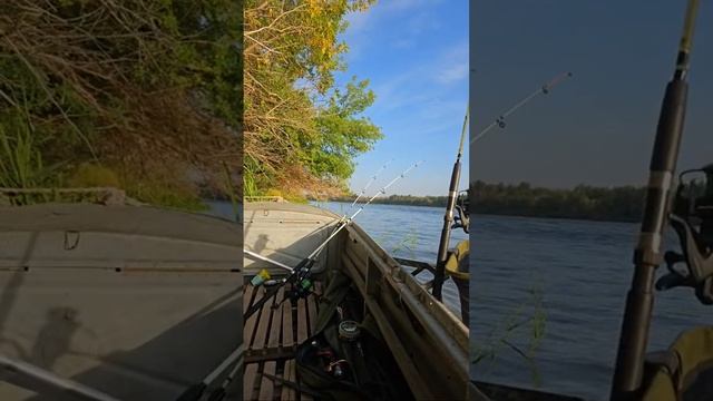Рыбалка. Астрахнь река бузан. смотреть онлайн
