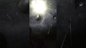 НА ЧТО КЛЮЕТ ФОРЕЛЬ НОЧЬЮ #Shorts#форель#ловляфорели