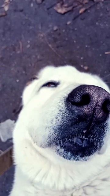 #у Соломона#все хорошо#доброе утро смотреть онлайн