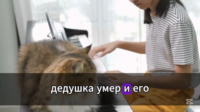 Семья молчала несколько месяцев о том, что моя сестра ?