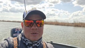 РЫБАЛКА без Panoptix. Ловля жереха на тейл-спиннеры. Где ис