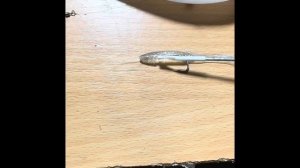 Монтаж бомбарды для рыбалки на сибаса в Черногории с б