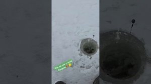 Загадочное озеро в Сибири #рыбалка #fishing #щука #жерлицы