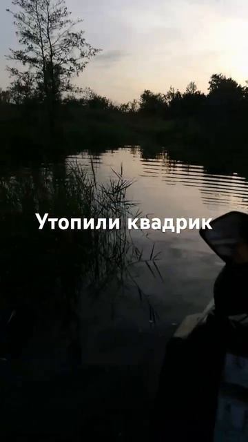 #внедорожники #automobile #внедорожник #охотанагуся #offroad #д? смотреть онлайн