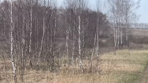 I Охота на Кабана