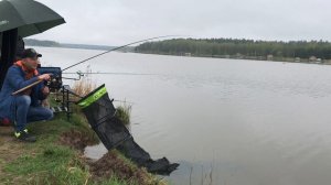 Флэт фидер как он есть. Ловля карпа на флэт весной