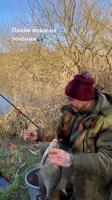 Скоро новое видео,ловля леща на течении🎣🎣🎣 #рыбалк? смотреть онлайн