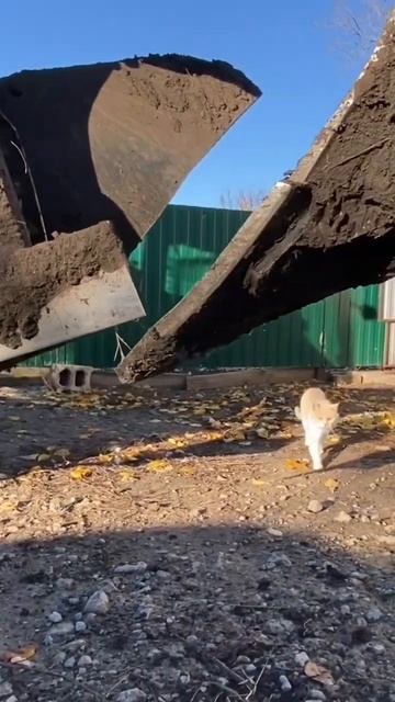 ПЛН-3.35. Що це таке і для чого воно??? смотреть онлайн