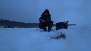 Рыбалка на окуня на Братском водохранилище. Результат