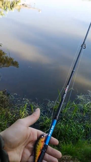 #утро #спиннинг #fishing #рыбалка #река #лето #нарыбалку #tikto смотреть онлайн