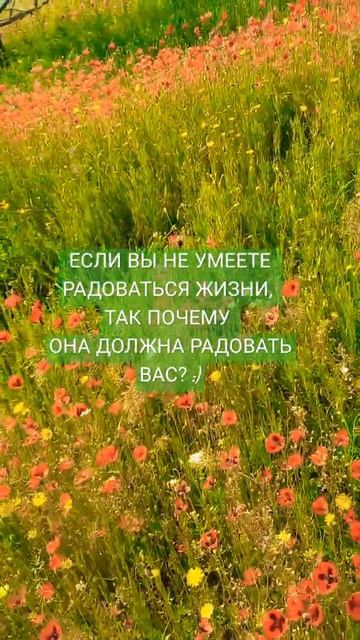 РАДОСТЬ ЖИЗНИ #цветы #красота #статус #мысли #психология #настрой