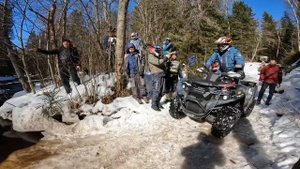 Что происходит в лесу после зимы? Разведка