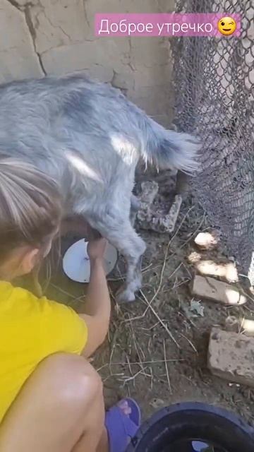 Сын юный оператор 😊#семья#деревня смотреть онлайн