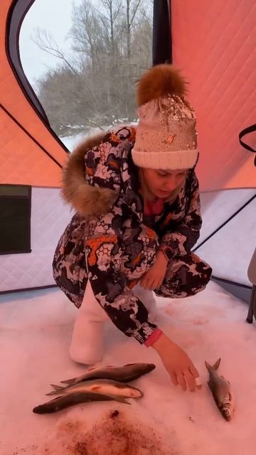 Ловля подуста #рыбалка #fishing #рыбачка #зимняя #icefishing #short смотреть онлайн