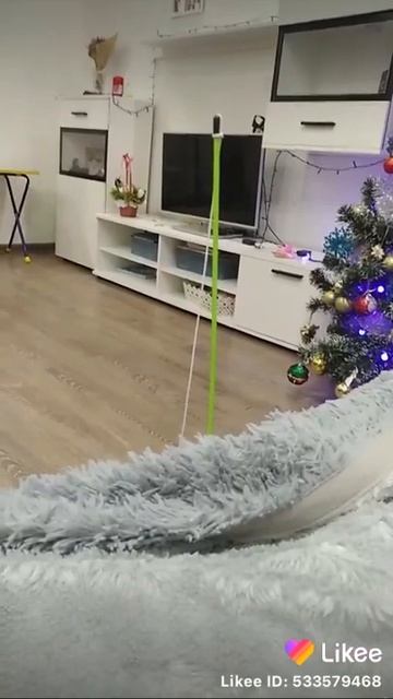 Рыбалка в домашних условиях.))) смотреть онлайн